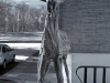 Stag (Infrared) - Hertfordshire wedding photographer Stag (Infrared) - Hertfordshire wedding photographer