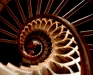 Stairway to heaven Stairway to heaven