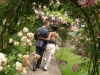 Garden of Love - wedding photography
